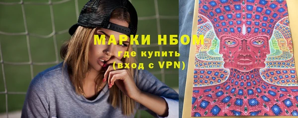 тгк Алзамай
