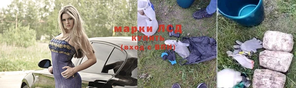 тгк Алзамай