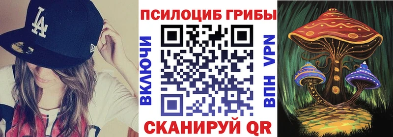где можно купить   Краснотурьинск  Галлюциногенные грибы мицелий 